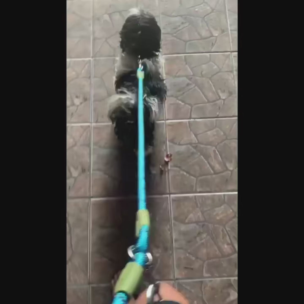 Laisse réfléchissante mains libres en nylon pour chien