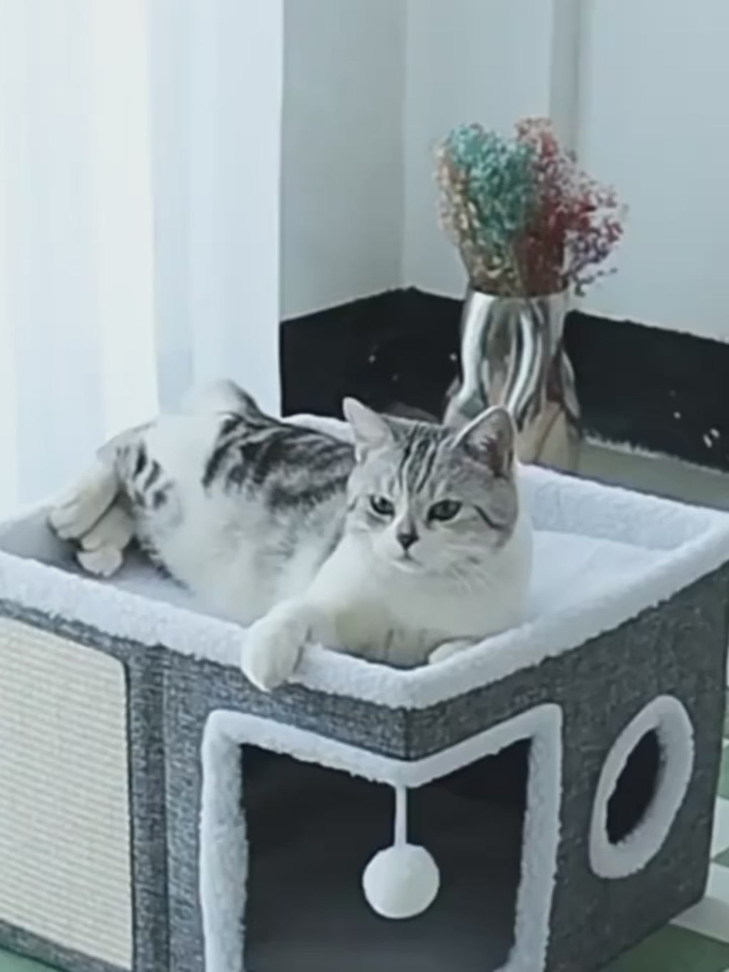 Maison pliable multi-niveaux pour chat et petit chien