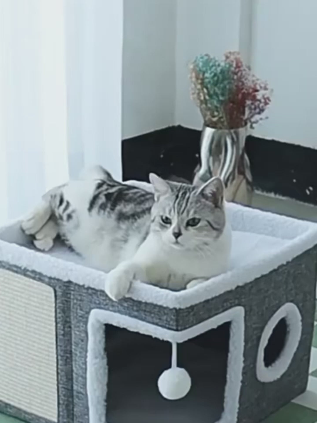 Maison pliable multi-niveaux pour chat et petit chien
