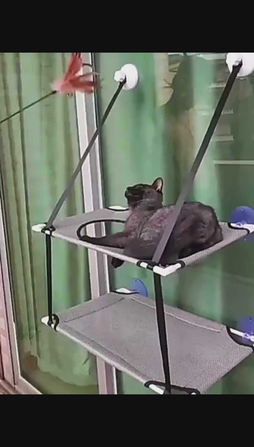 Hamac simple ou double - chat