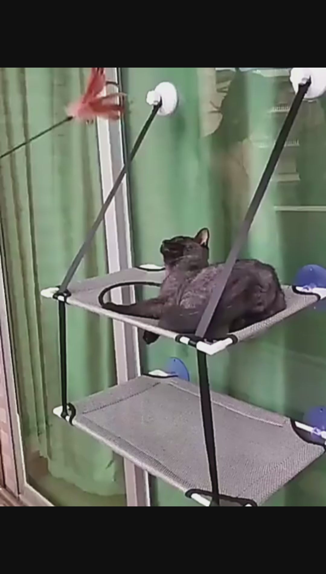 Hamac simple ou double pour chat