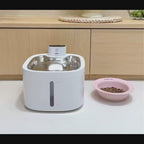 Fontaine à eau rechargeable 3,5 L - chien & chat