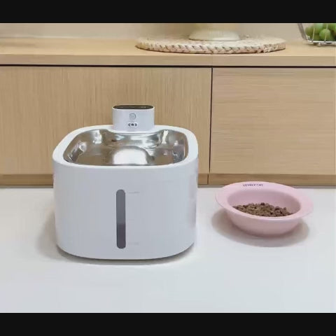 Fontaine à eau rechargeable 3,5 L - chien & chat