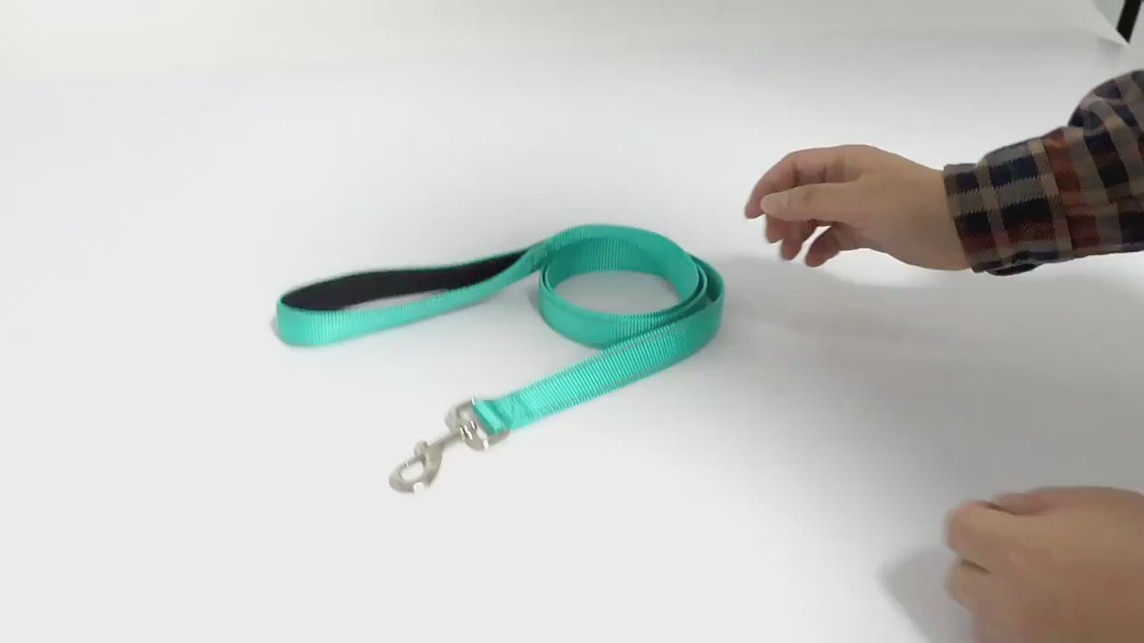 Laisse double poignée réfléchissante pour chien