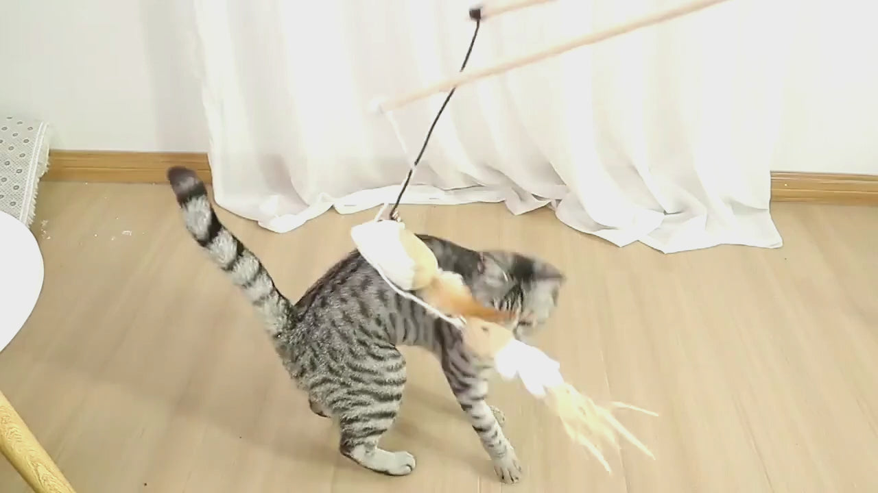 Baguette à plumes interactive pour chat