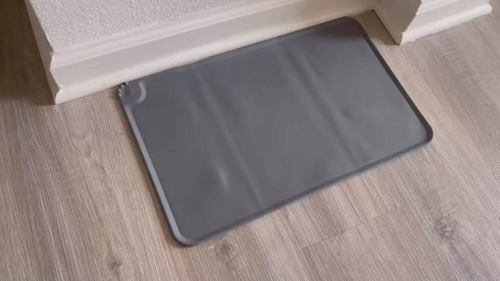 Bols surélevés inclinés 15° pour chat avec support