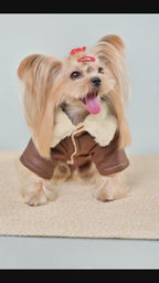 Veste d’hiver chaude effet cuir - chien et chat