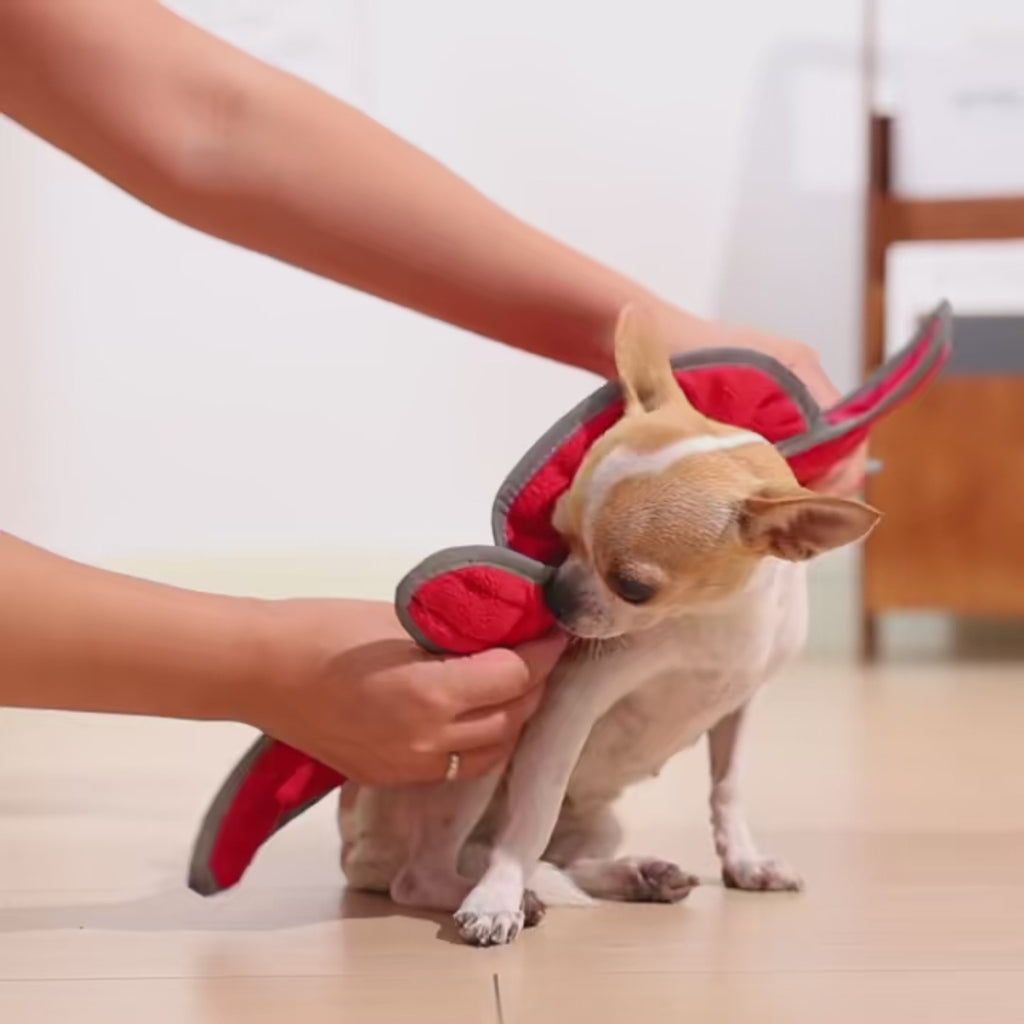 Manteau réversible chaud - chien et chat