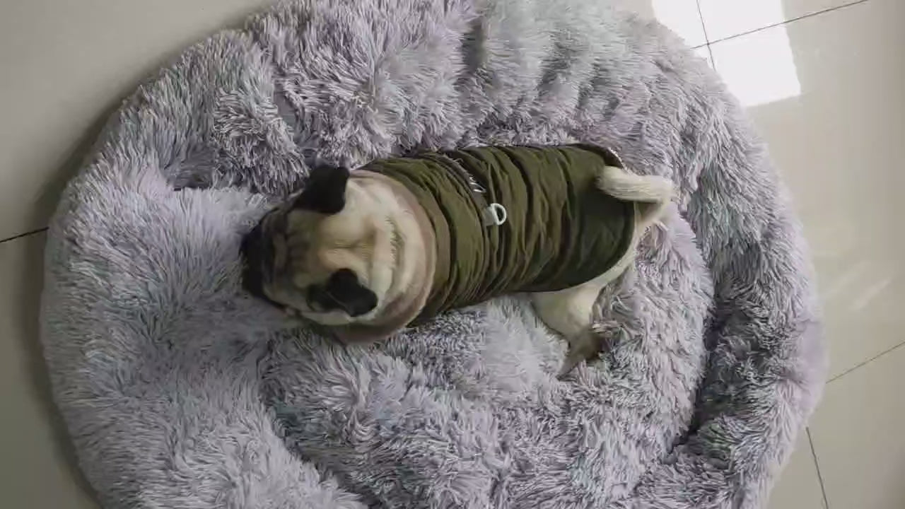 Veste Polaire Chaude pour Chien et Chat