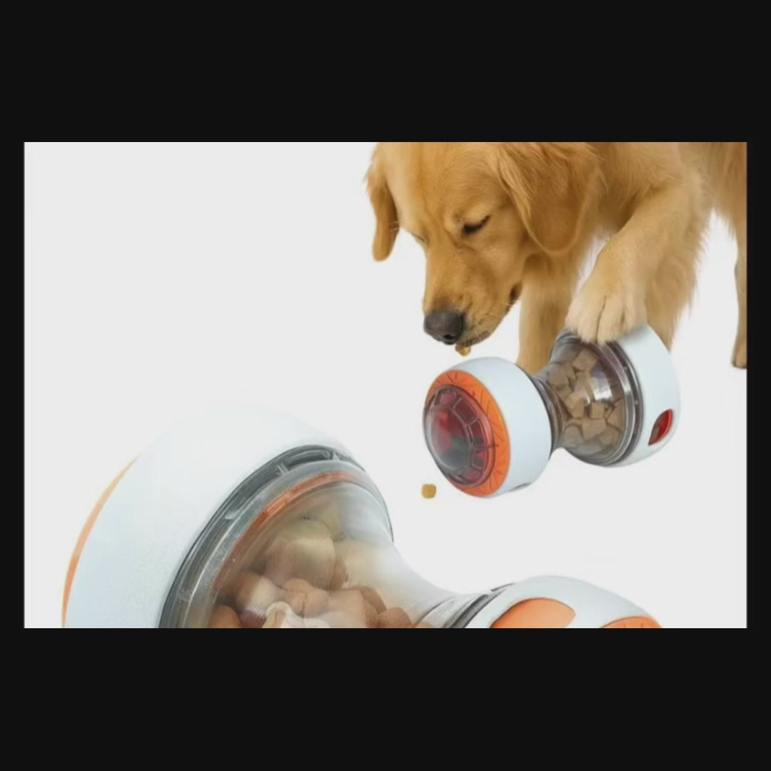 Jouet distributeur de friandises interactif pour chien