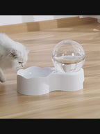 Fontaine à eau en forme de globe pour chat et petit chien