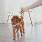 Jouet carotte en corde tressée