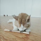 Bâtonnets à mâcher pour chat