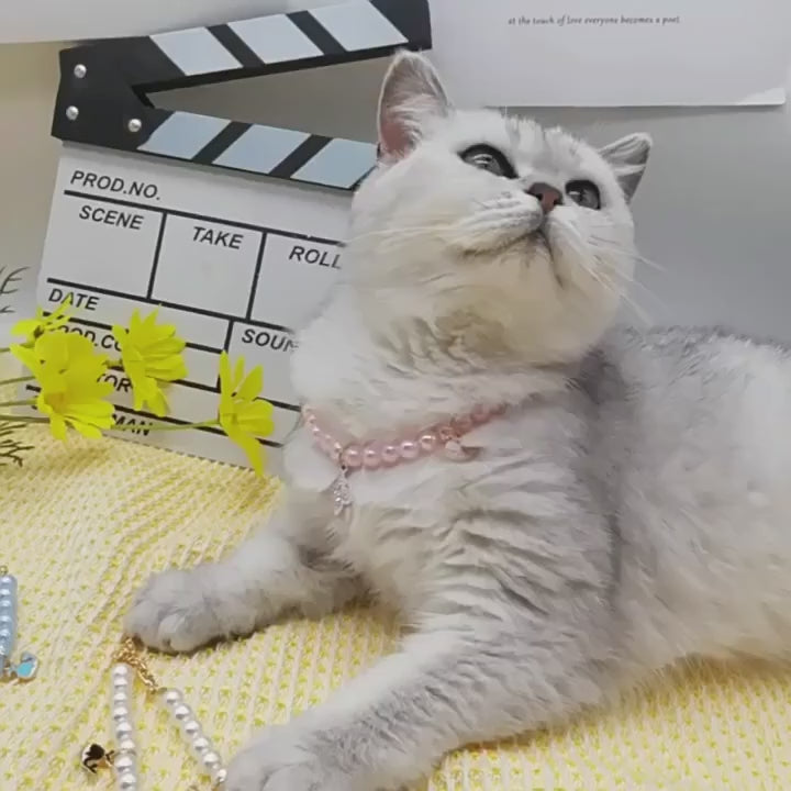 Collier de perles princesse pour chien et chat