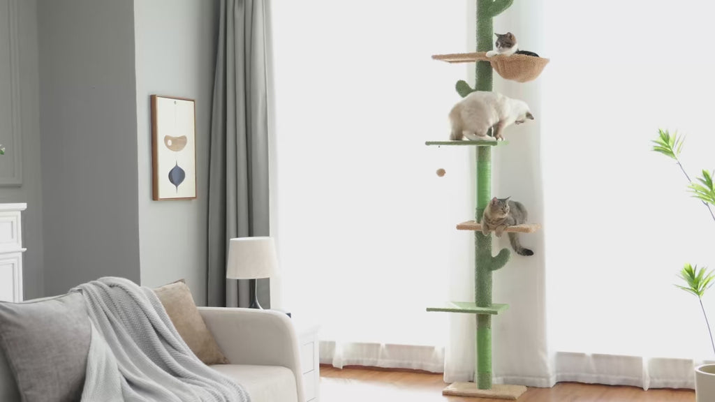 Arbre à Chat Sol-Plafond à 5 Niveaux