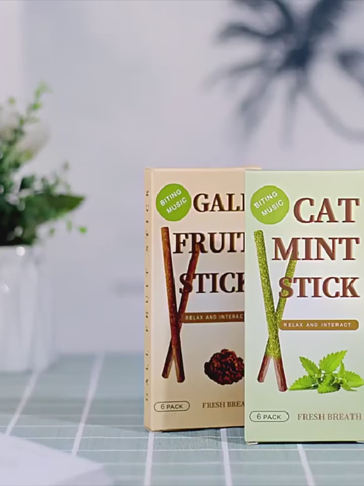 Lot de 6 bâtonnets naturels pour chat